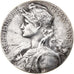 Francia, medaglia, IIIe République, n.d., Bronzo argentato, Delpech, SPL-