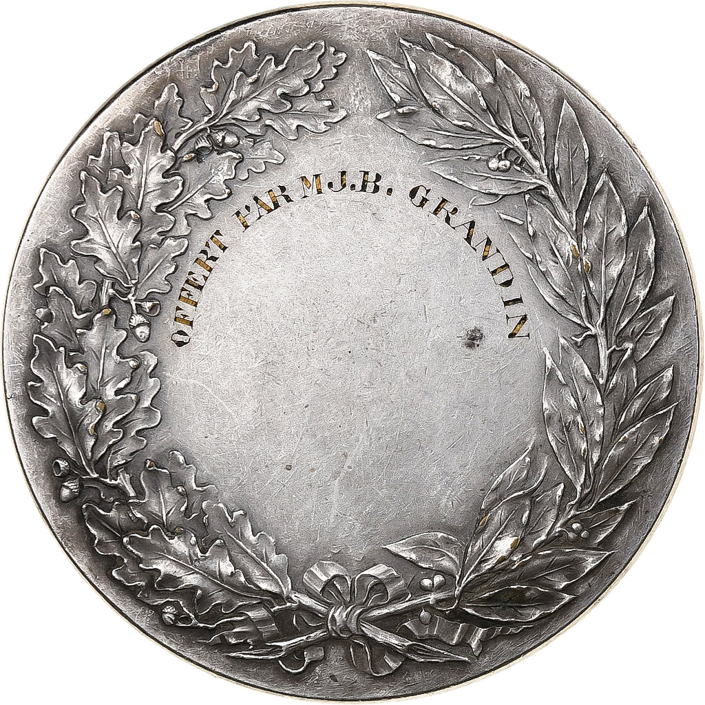 Francia, medaglia, IIIe République, n.d., Bronzo argentato, Delpech, SPL-