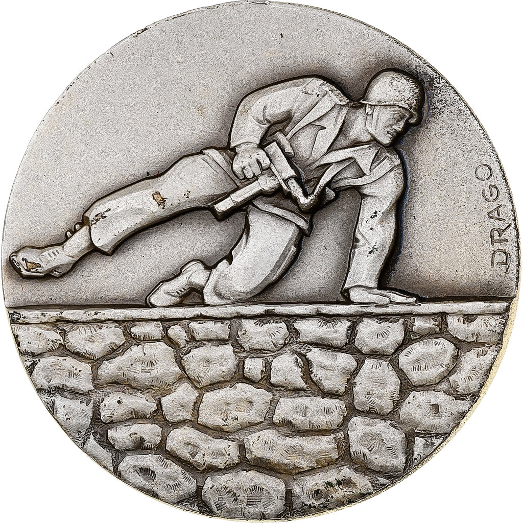 Francia, medaglia, Regional Air, Défense des Bases, n.d., Bronzo argentato