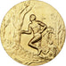 Francia, medaglia, Cross Country, n.d., Bronzo dorato, Drago, SPL