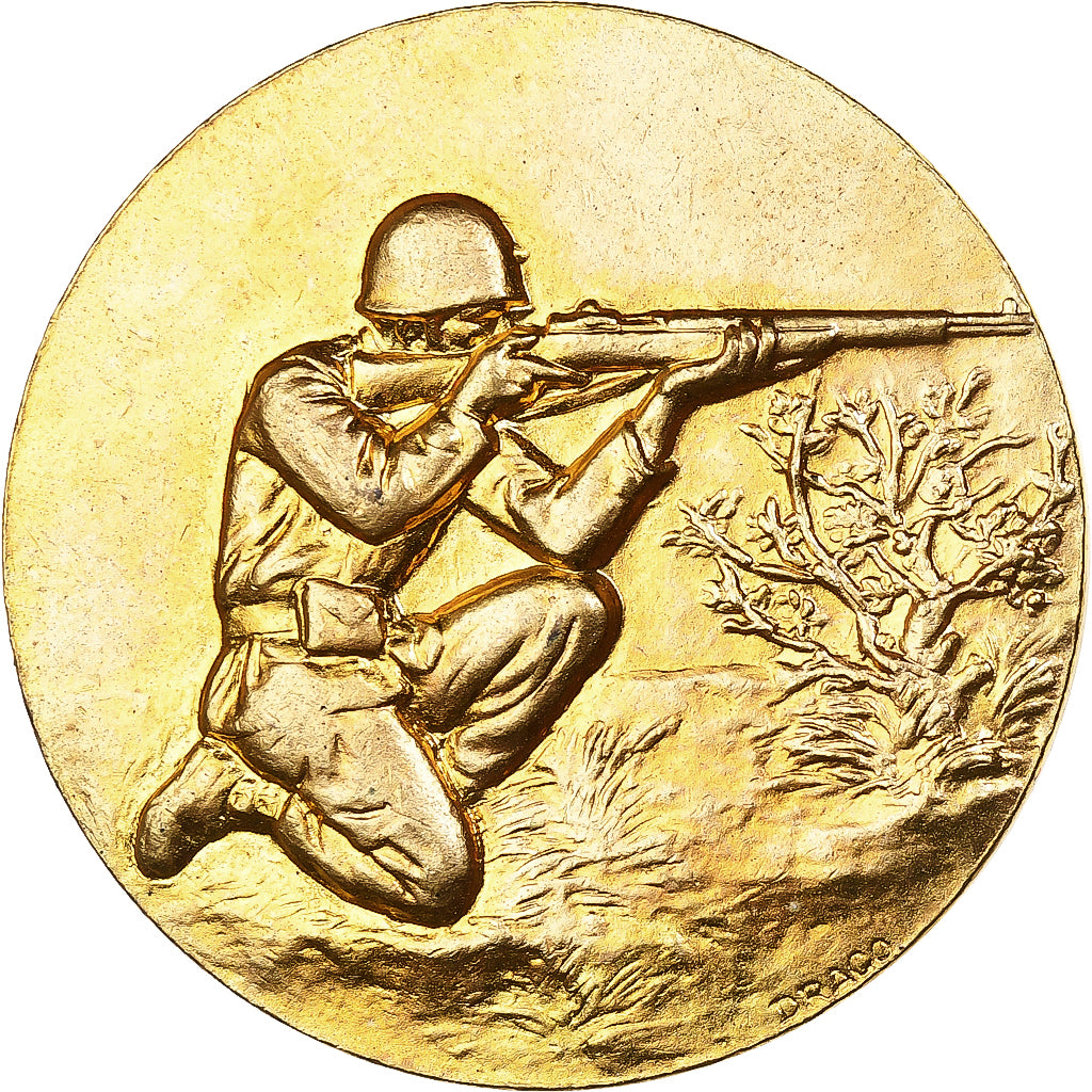 Francia, medaglia, Prix de Tir Militaire, 1984, Bronzo dorato, Drago, SPL-
