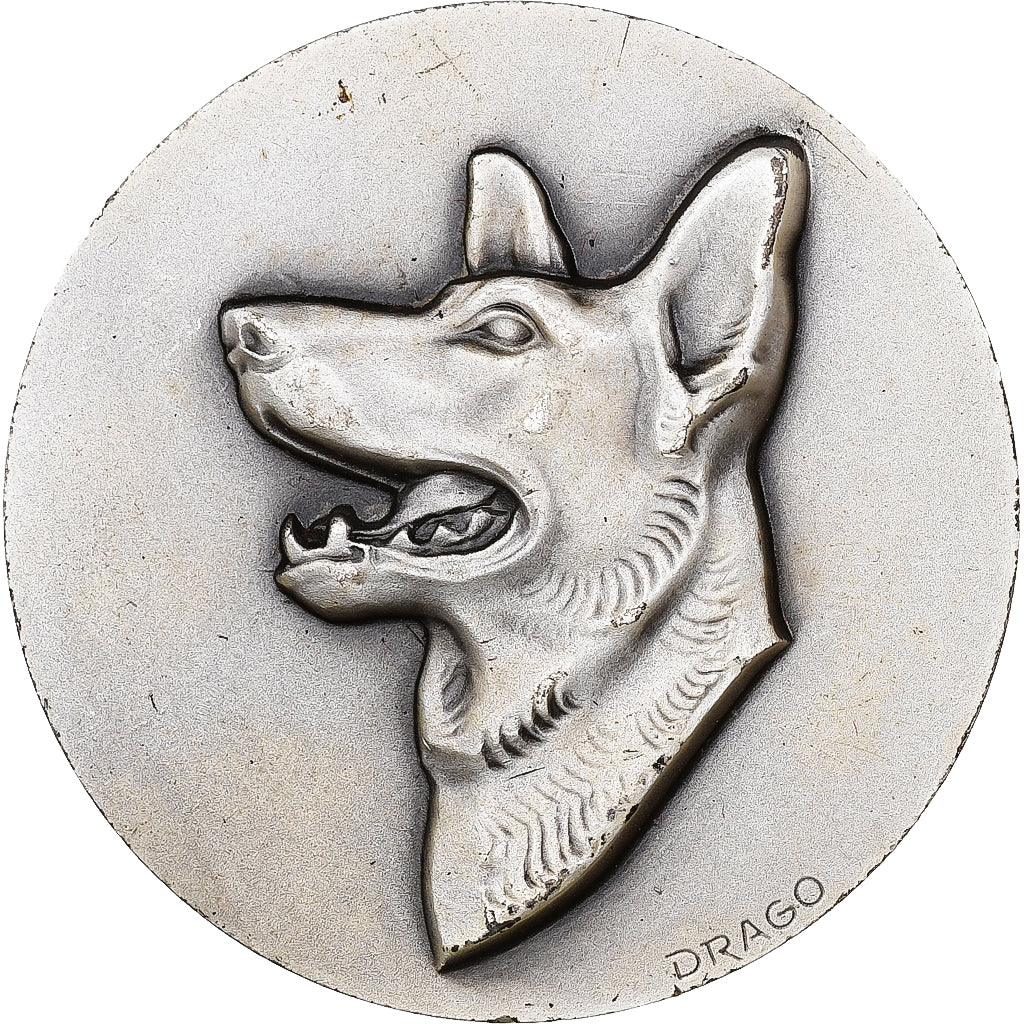 Francia, medaglia, Prix de Défense des Bases, 1979, Bronzo argentato, Drago