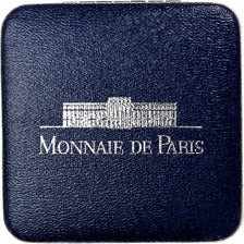 Frankreich, 100 Francs, Liberté guidant le peuple, 1993, MDP, PP, Silber, STGL