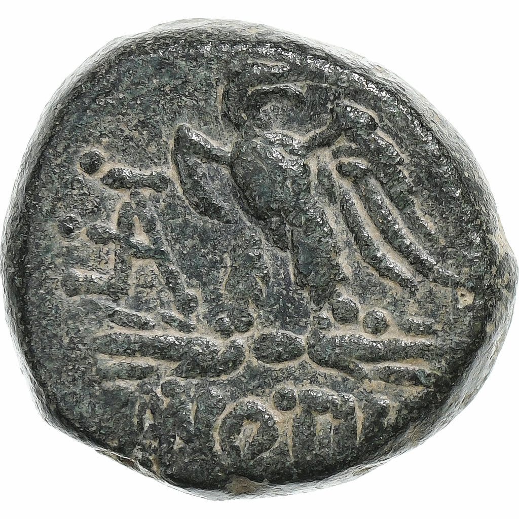 Paflagonia, time of Mithradates VI, Æ Unit, ca. 95-70 BC, Sinop, Brązowy