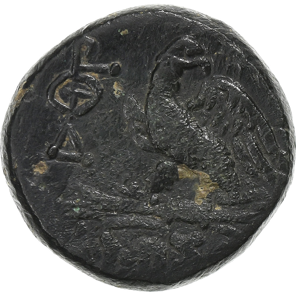 Pontos, time of Mithradates VI, Æ Unit, ca. 95-70 BC, Amisos, Bronze, TTB+