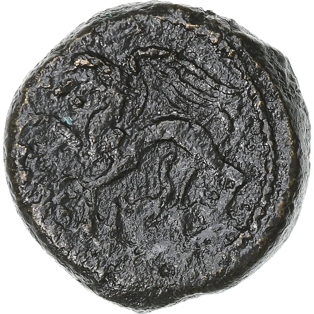 Carnutes, Bronze PIXTILOS au griffon, ca. 40-20 BC, Bronzen, ZF+