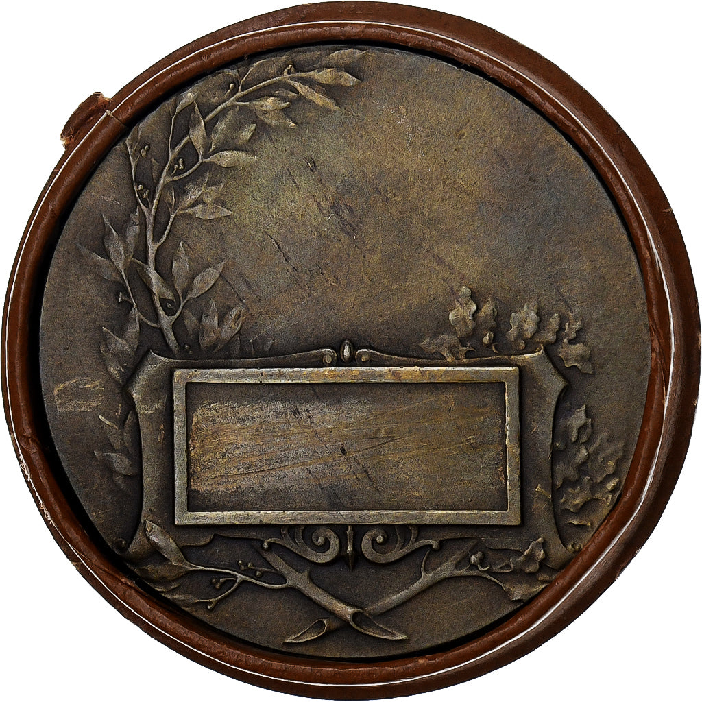 France, Medal, Troisième République, Marianne, n.d., Bronze, MS(60-62)