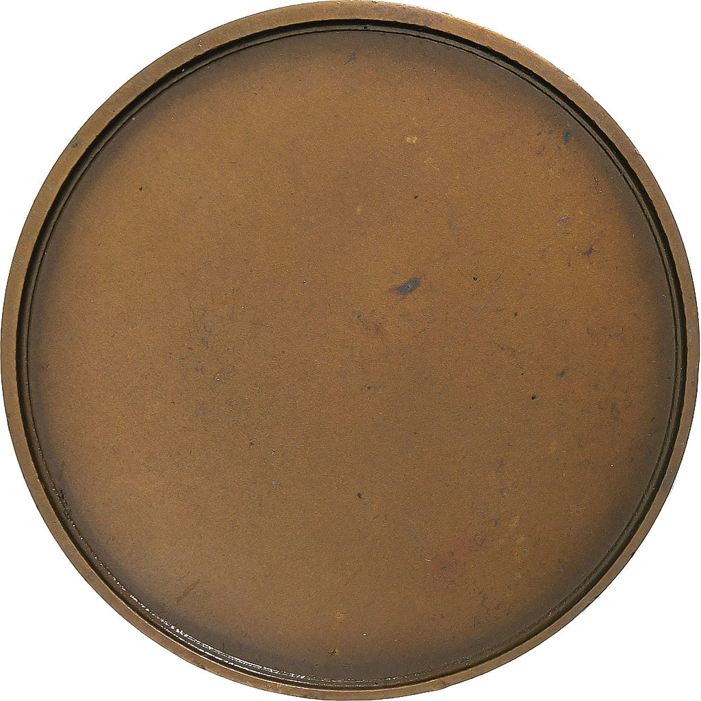 Francia, medaglia, Ville de Guise, Aisne, 1982, Bronzo, SPL-