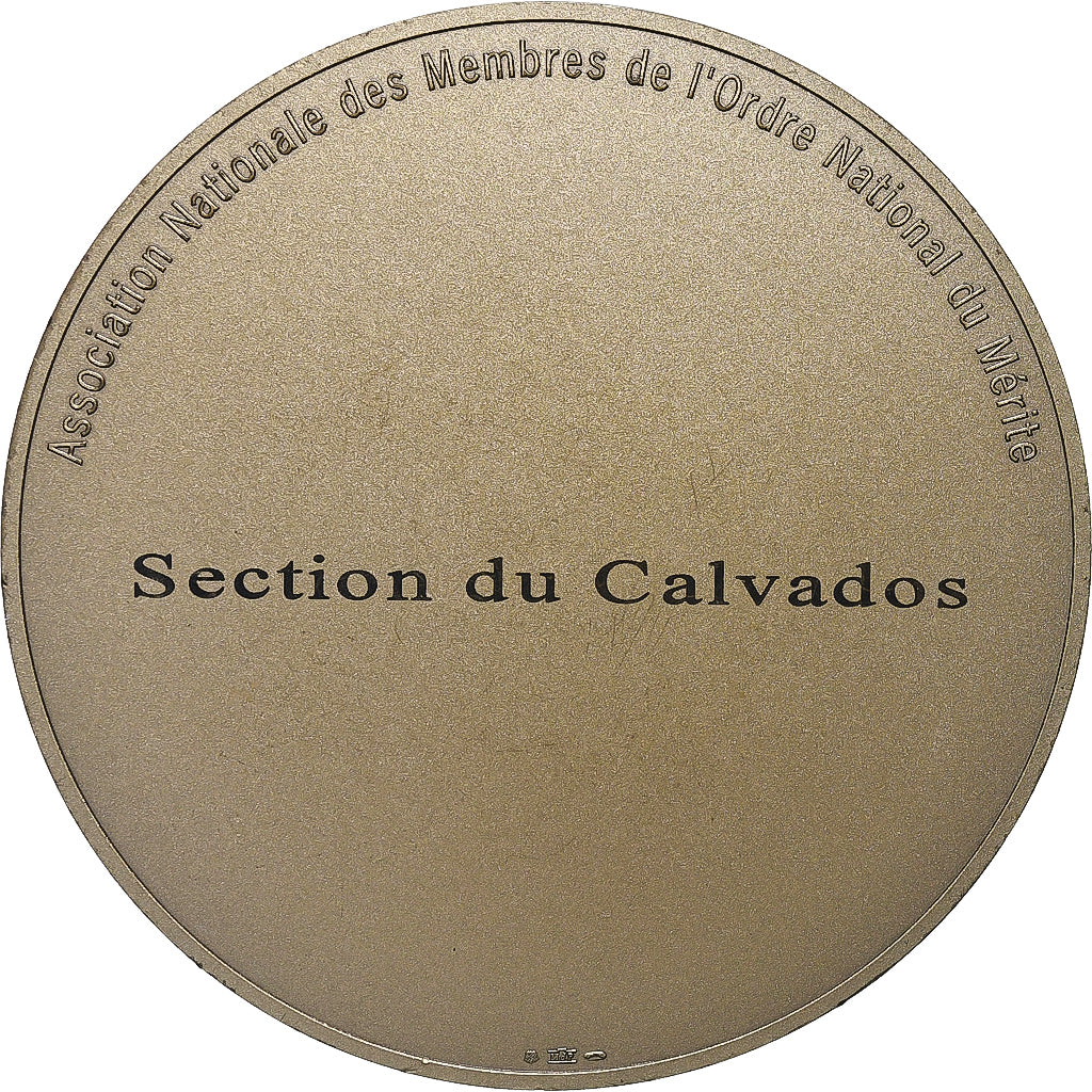 France, Médaille, 50 ans de l'Ordre National du Mérite, 2013, Bronze, SUP+