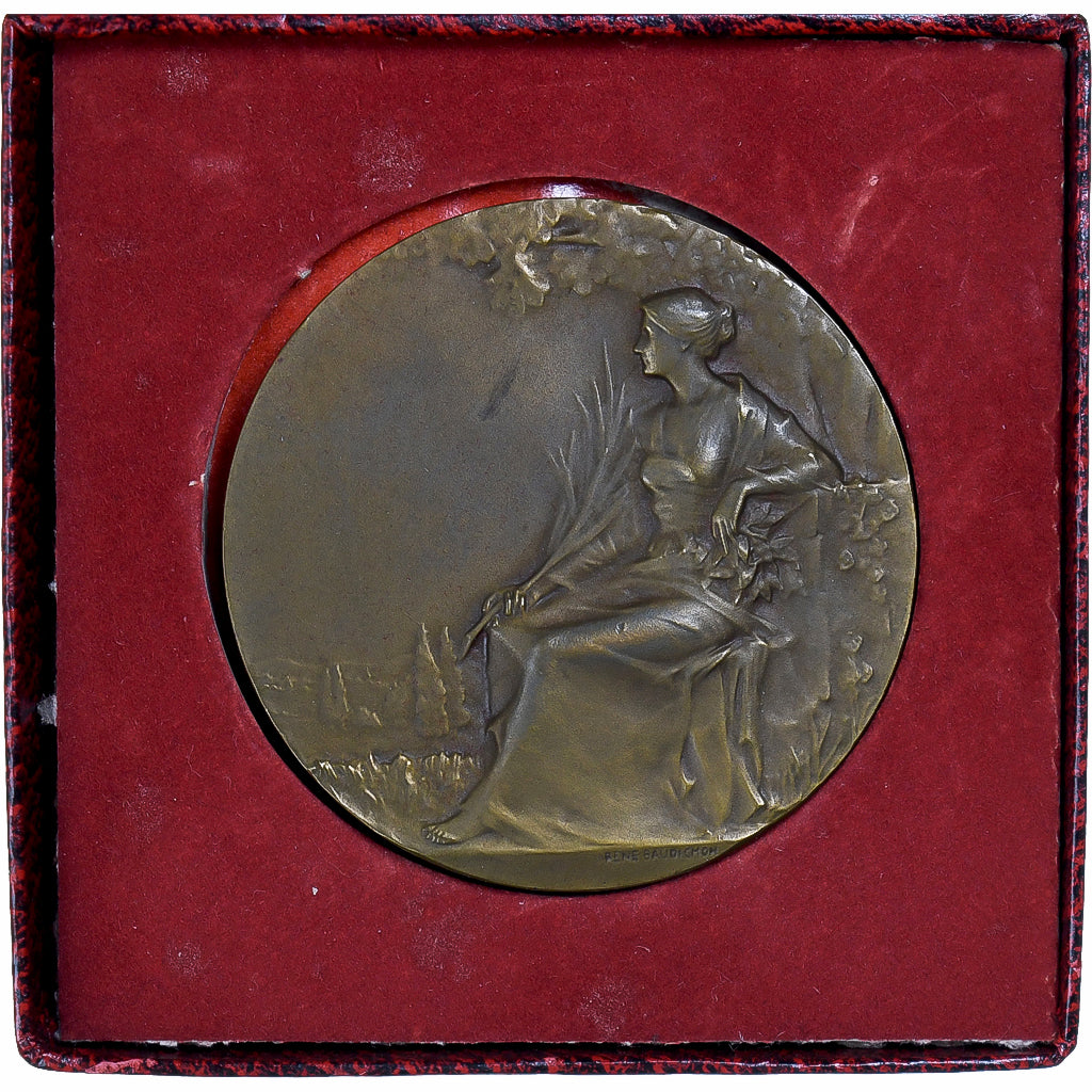 Francia, medalla, Ville de Lomme, EBC, Bronce