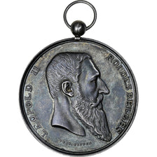 Belgium, Medal, Léopold II, Prix de gravure, 1897, AU(55-58), Silver