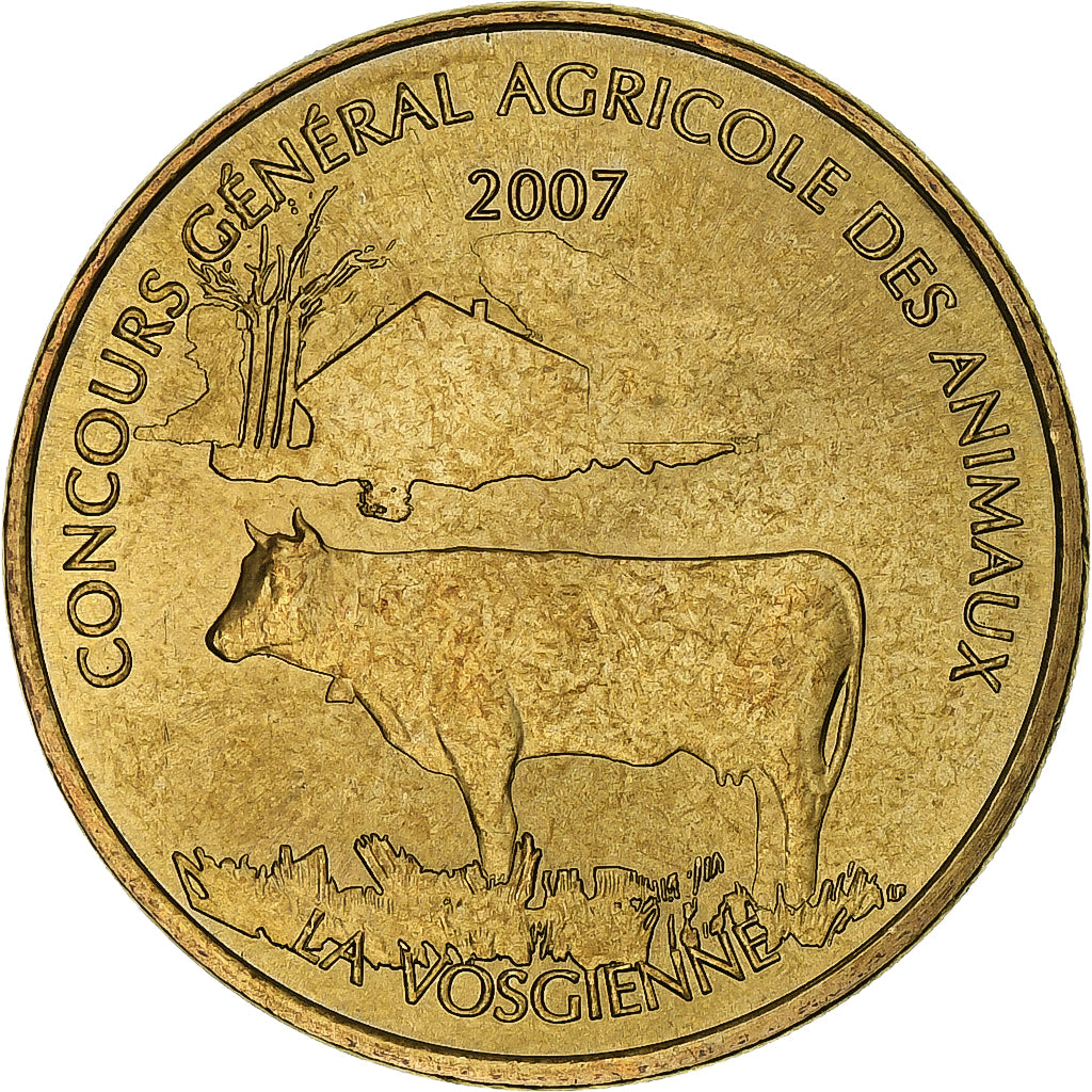 France, Tourist token, La Vosgienne, 2007, MDP, Nordic gold, AU(55-58)