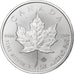 Canada, Elizabeth II, 5 dollars, 1 oz, Maple Leaf, 2021, Winnipeg, Proof