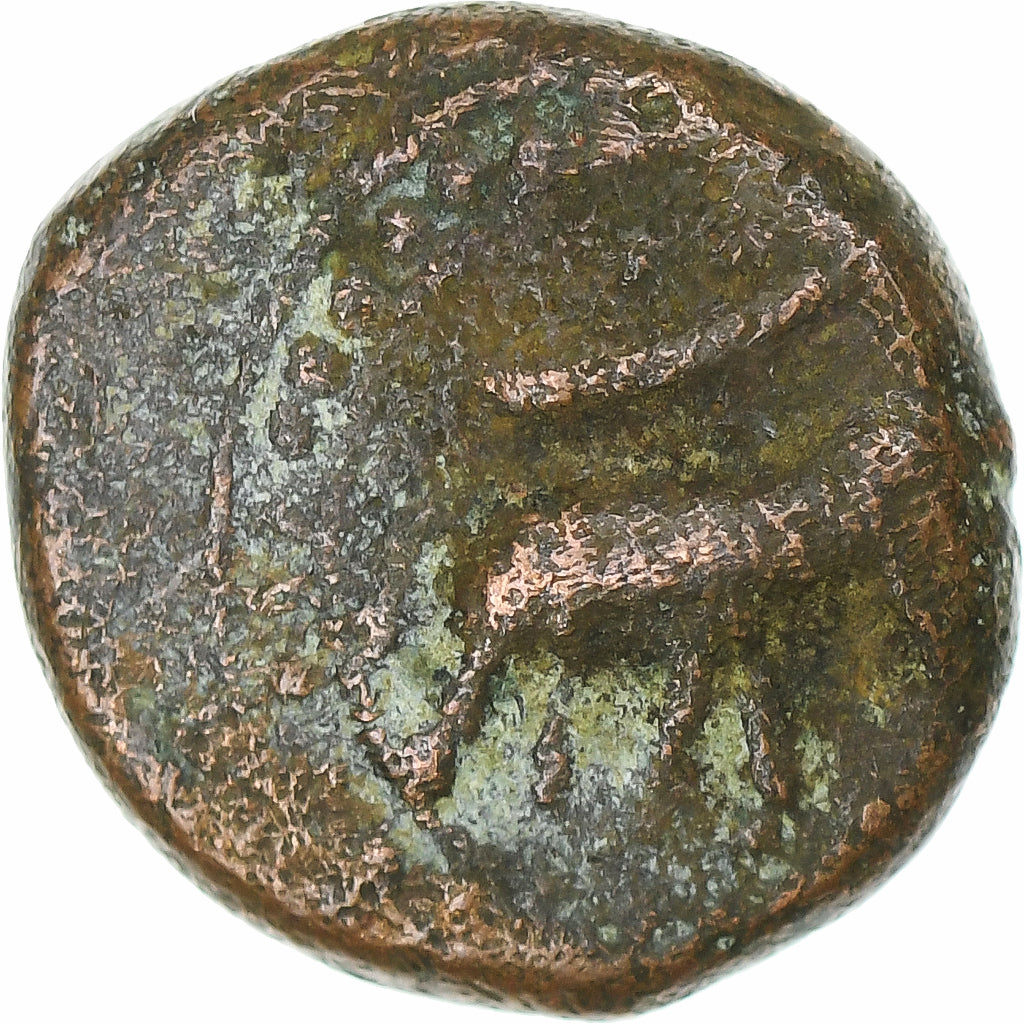Inde, Royaume de Mysore, Tipu Sultan, 1/4 Paisa, Patan, Cuivre, TB+, KM:121.7