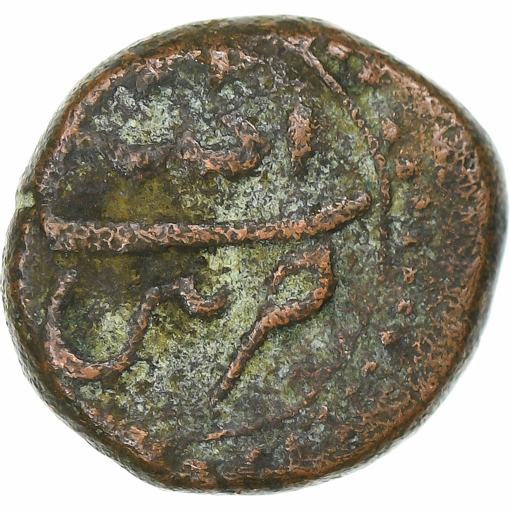 Inde, Royaume de Mysore, Tipu Sultan, 1/4 Paisa, Patan, Cuivre, TB+, KM:121.7
