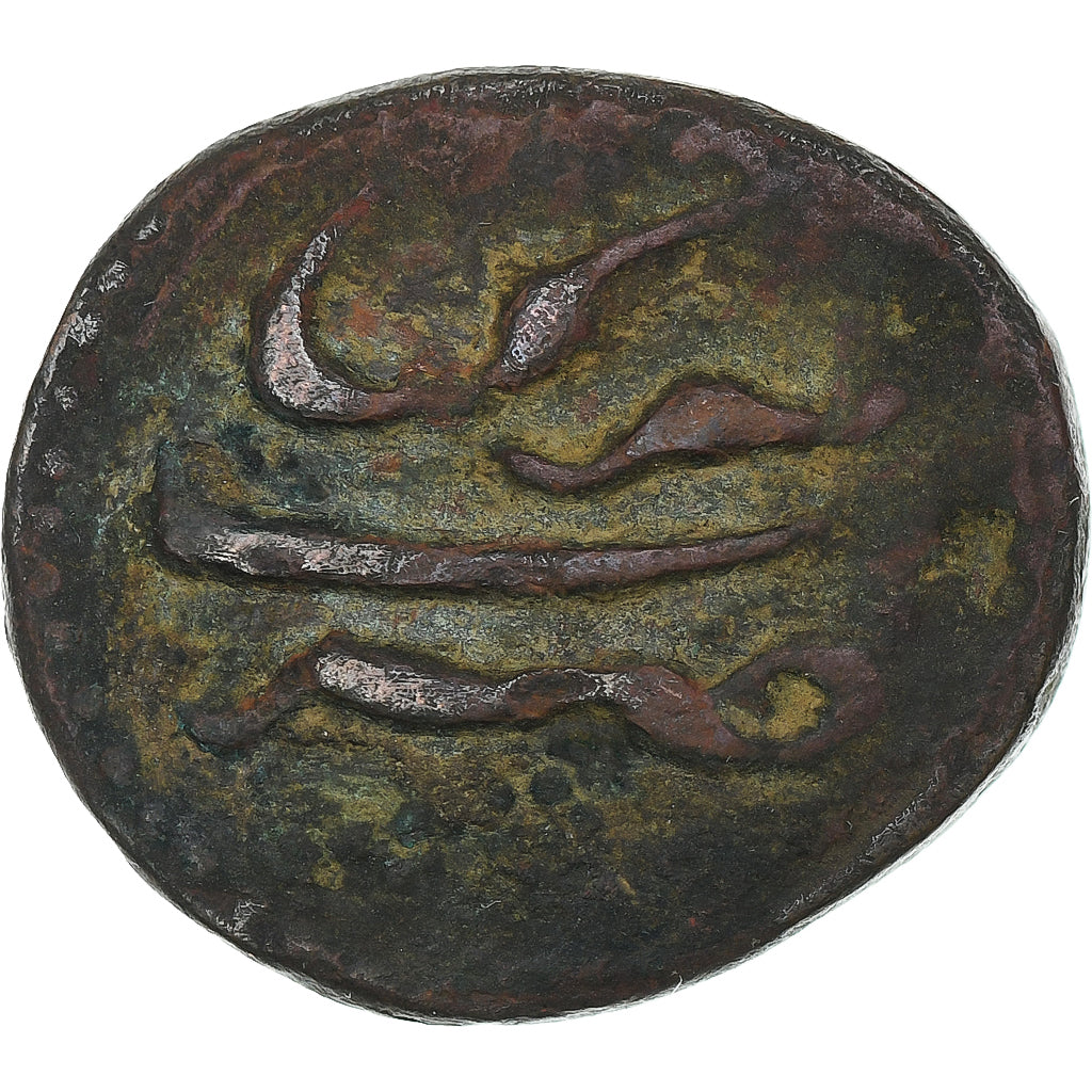 Inde, Royaume de Mysore, Tipu Sultan, Paisa, 1217 (1788), Patan, Cuivre, TB+