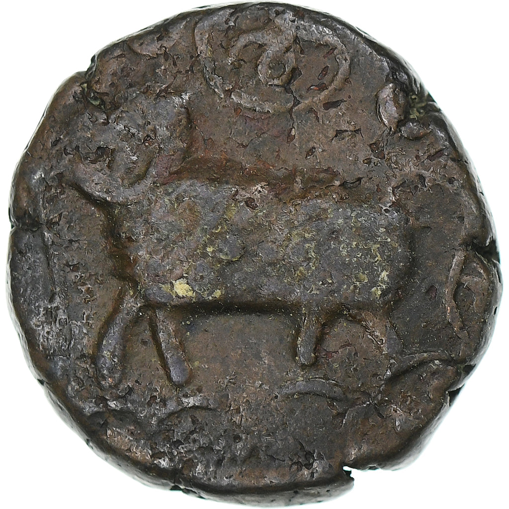 Inde, État princier de Mysore, Raja Krishna Wodeyar, 20 Cash, 1811-1833