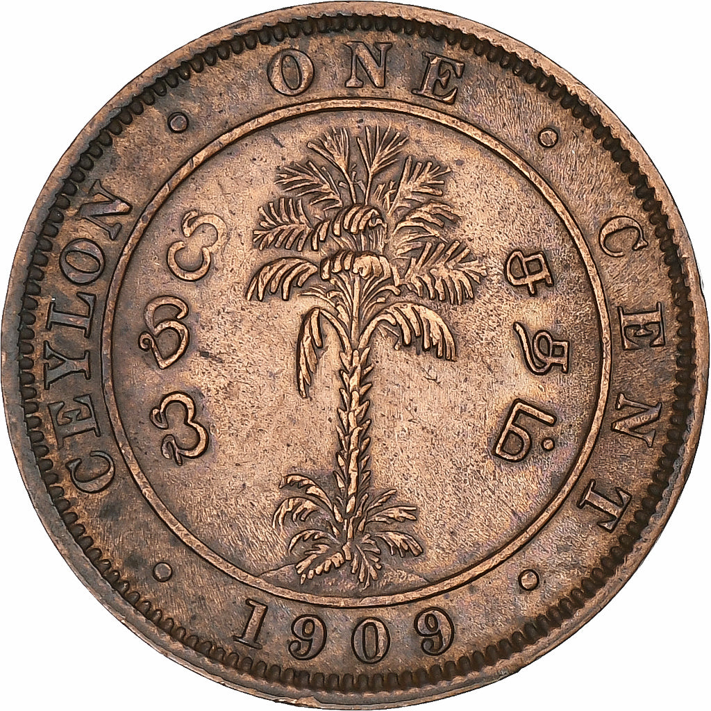 Sri Lanka , Edward VII, Cent, 1909, Calcutta, Cuivre, TTB+