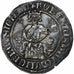 County of Provence, Robert d'Anjou, Carlin, 1309-1343, Silver, AU (55-58)