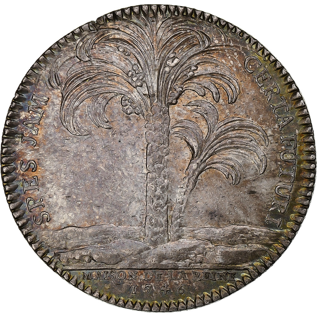 France, Token, Marie Lesczinska, Maison de la Reine, 1746, Silver, AU(55-58)