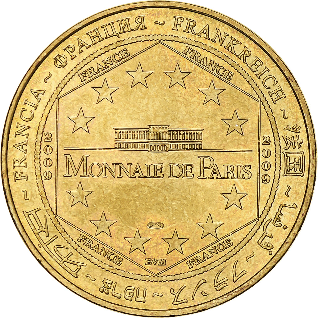 France, Tourist token, Cathédrale d'Albi, 2009, MDP, Nordic gold, MS(63)