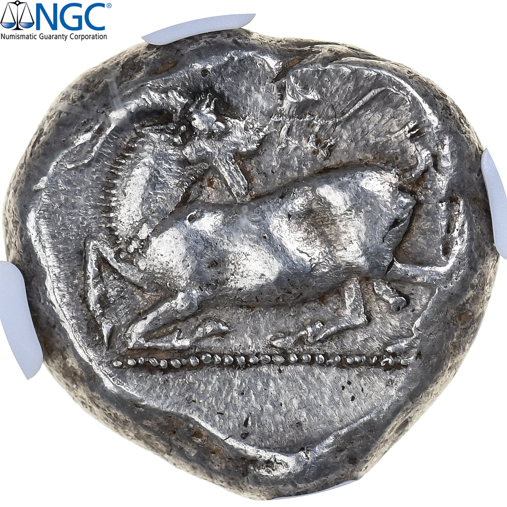 Cilicia, Stater, ca. 425-350 BC, Kelenderis, Silver, NGC, Ch XF 4/5 5/5