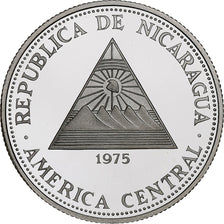 Nicaragua, 50 Cordobas, The Bud, 1975, Llantrisant, Proof, Silver, MS(65-70)