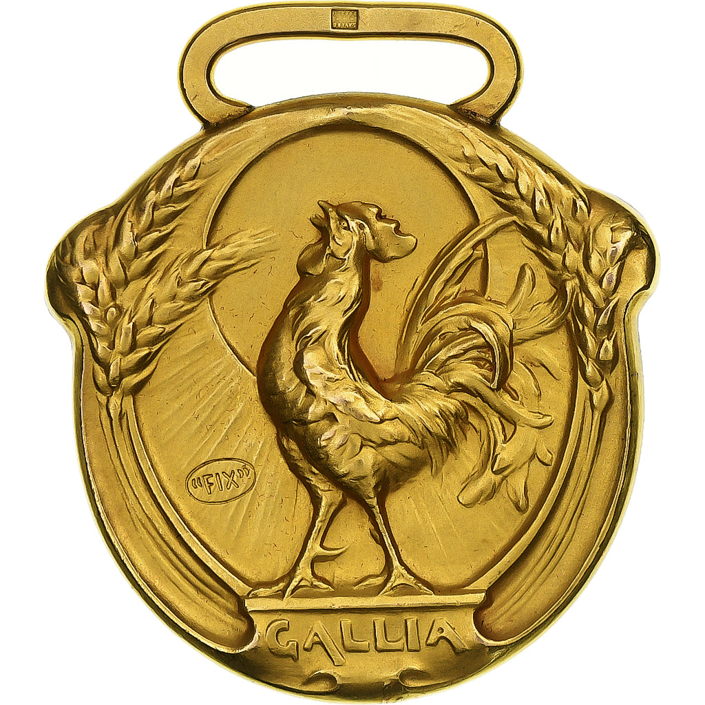 Francia, medaglia, Vercingétorix & Gallia, Bronzo, Becker, SPL