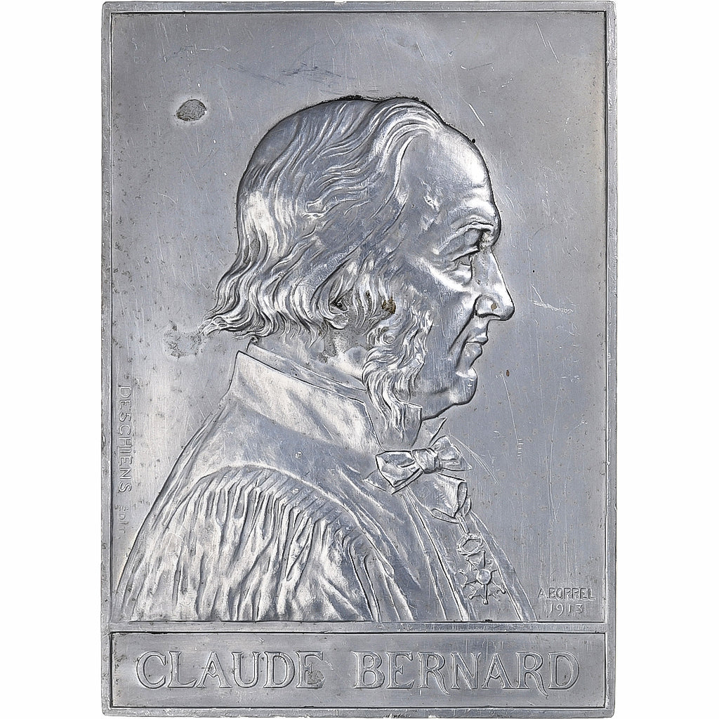 France, Medal, Claude Bernard, 1913, Aluminium, Borrel, AU(50-53)