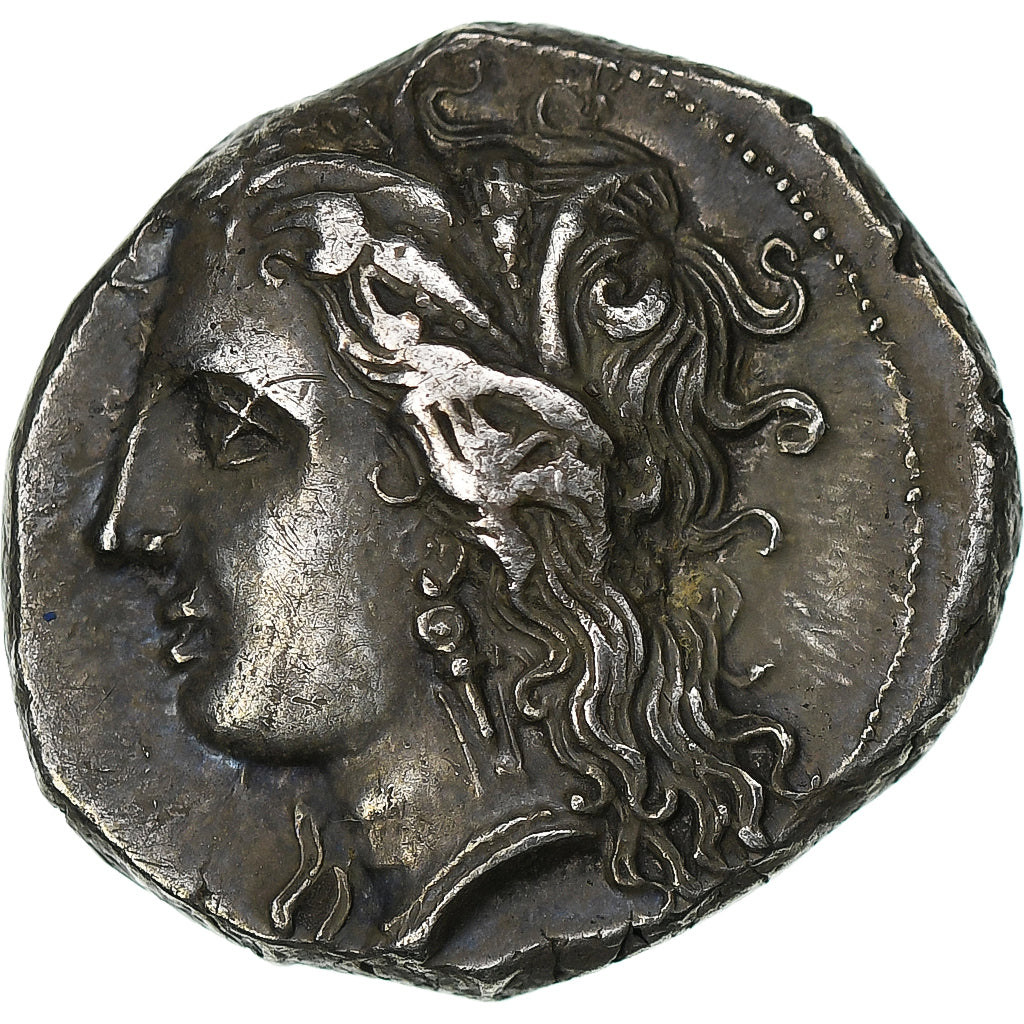 Lucanie, Nomos, v. 330-290 av. J.-C., Métaponte, Argent, TTB+, HGC:1-1063