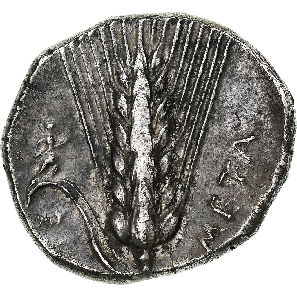 Lucanie, Nomos, v. 330-290 av. J.-C., Métaponte, Argent, TTB+, HGC:1-1063