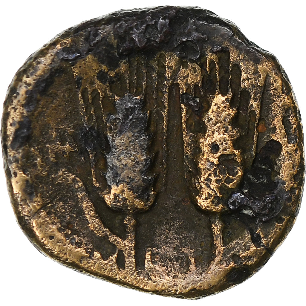 Lucania, Æ Unit, ca. 300-250 BC, Metapontum, Bronze, F(12-15), HGC:1-1115