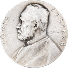 France, Medal, Louis Pasteur, 1888, Silver, Roty, EF(40-45)