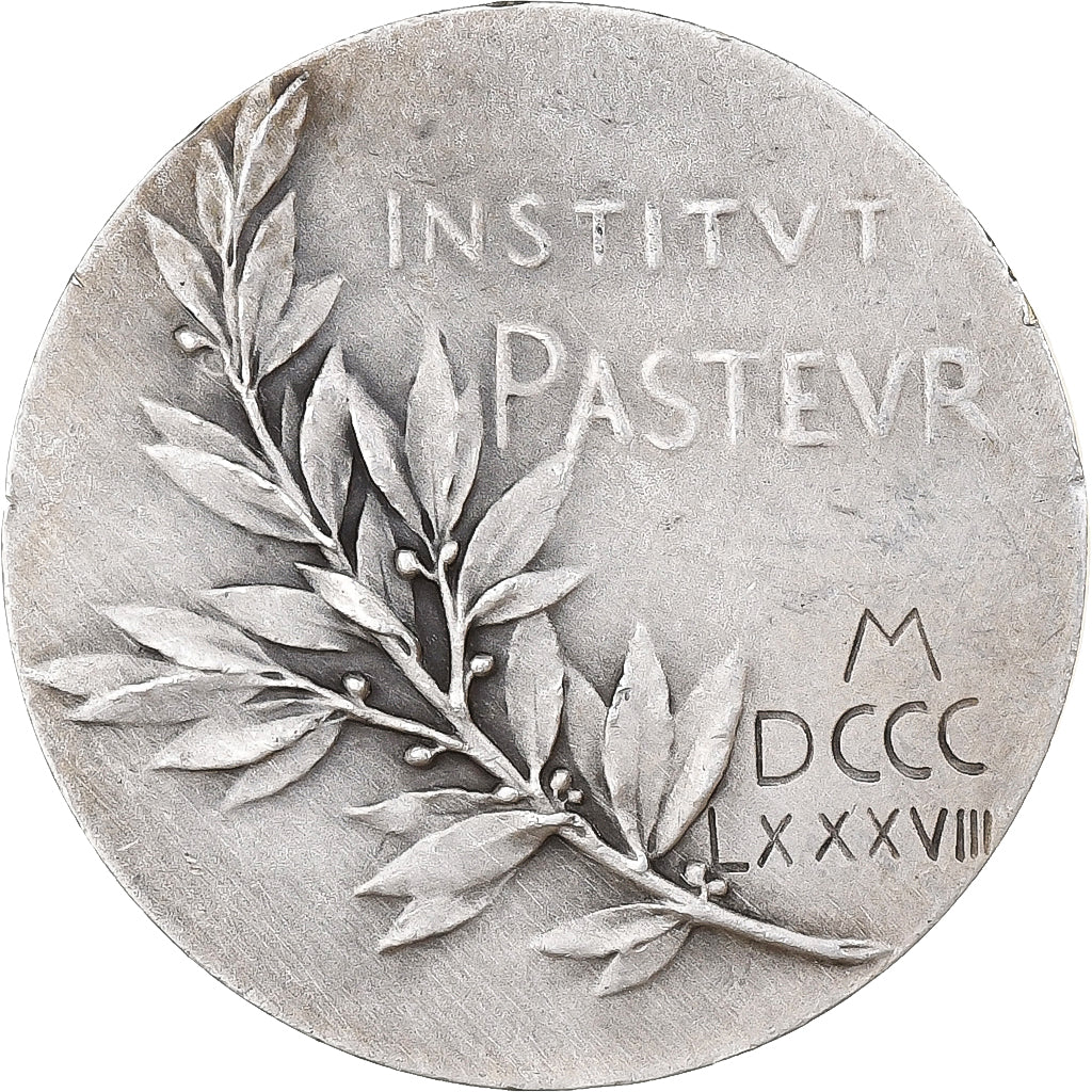 France, Medal, Louis Pasteur, 1888, Silver, Roty, EF(40-45)