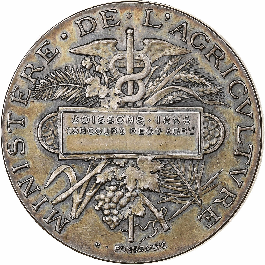 Francia, medaglia, Ministère de l'Agriculture, 1896, Argento, Ponscarme, BB+