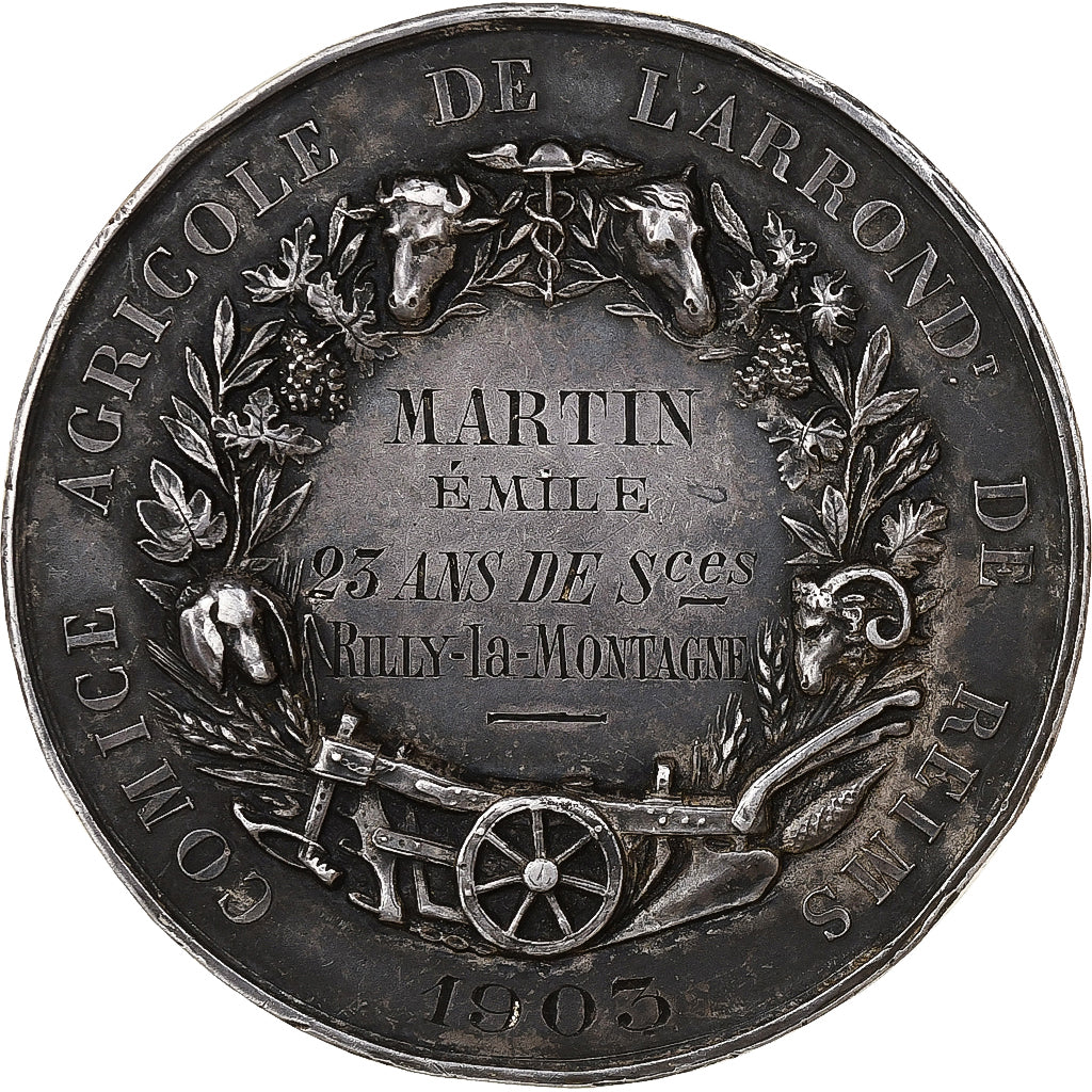 France, Medal, Olivier de Serres Seigneur du Pradel , Reims, 1903, Silver