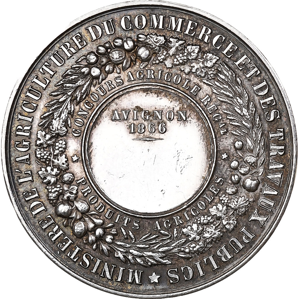 France, Medal, Napoléon III, Concours Régional Agricole, Avignon, 1866