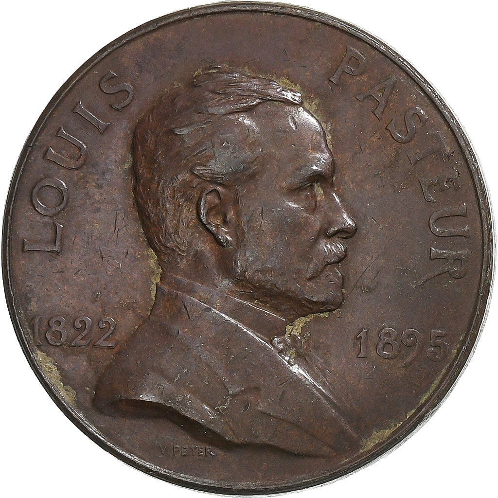Francia, ficha, Louis Pasteur, États Fédérés d'Europe, 1928, Bronzo, BB+