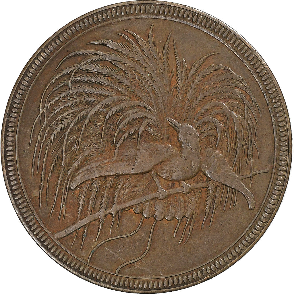 Germany New Guinea, 10 Pfennig, 1894, Berlin, Copper, EF(40-45), KM:3