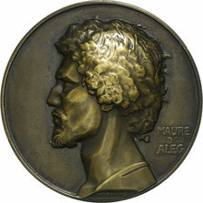 France, Médaille, Maure d’Aleg, Bronze, Monier, SUP