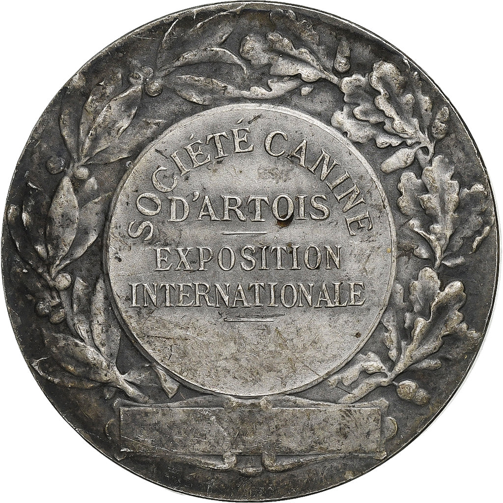 Francia, medaglia, Société Canine d'Artois, Bronzo argentato, G. Lesage, BB