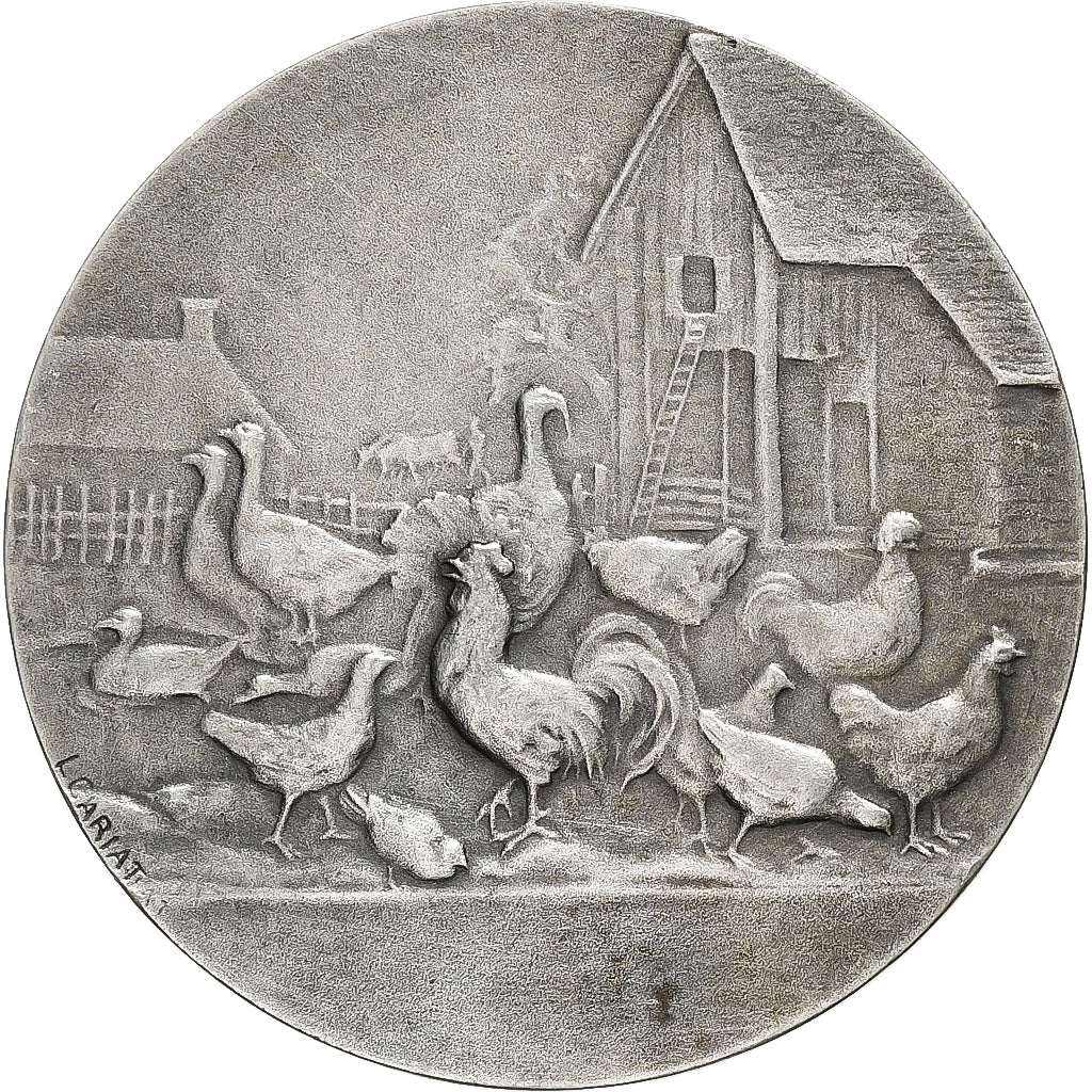 France, Medal, Basse-cour, ville de Béthune, Silvered bronze, Cariat, AU(50-53)