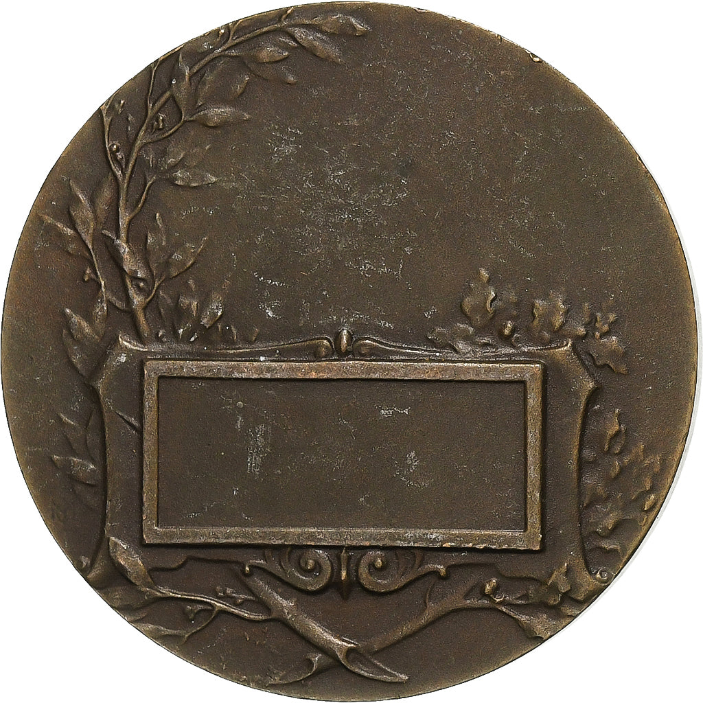 France, Médaille, Zouaves à l'assaut, Bronze, TTB+