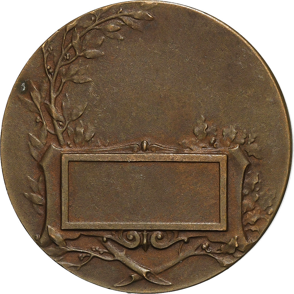 France, Medal, Zouaves à l'assaut, Bronze, AU(50-53)