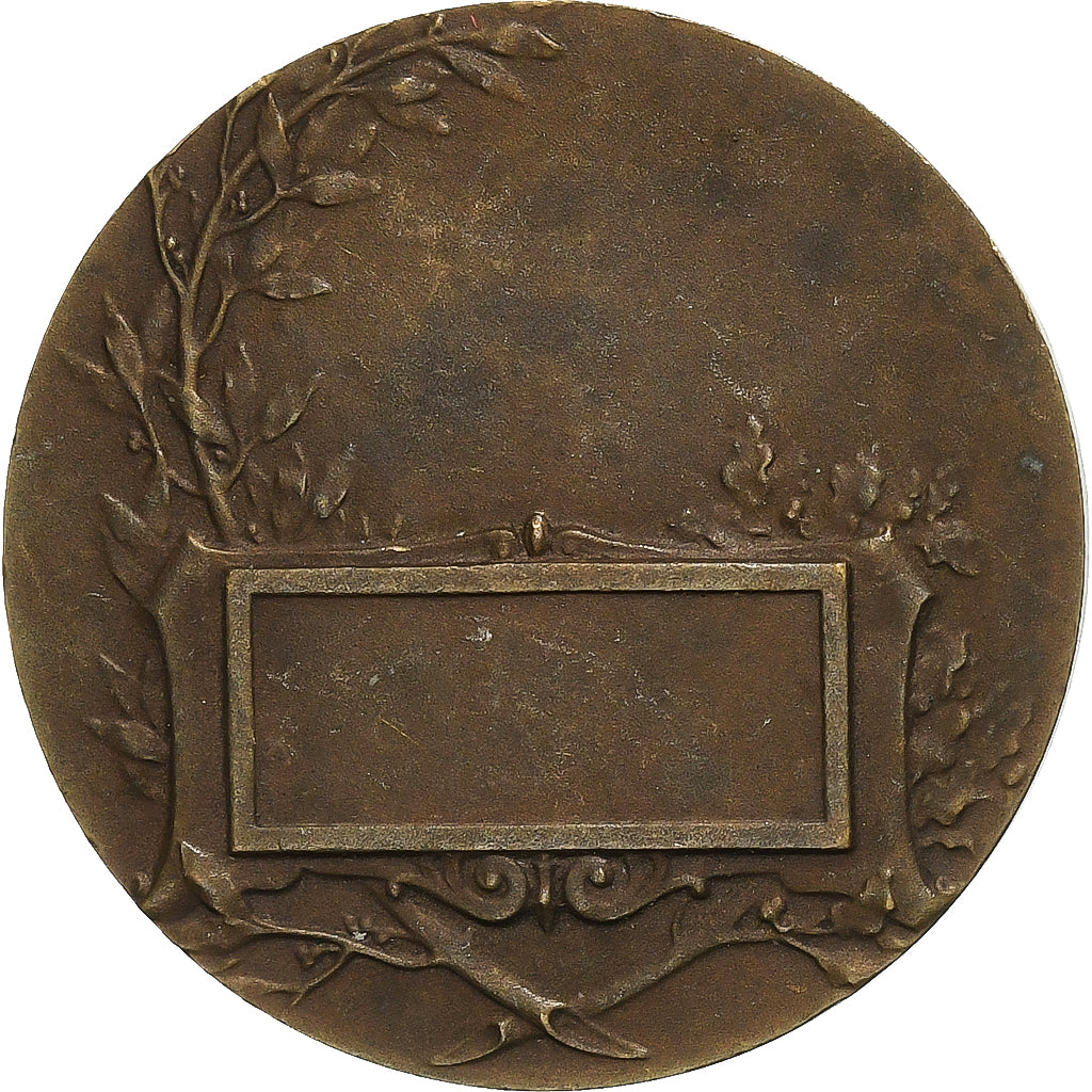 France, Medal, Zouaves à l'assaut, Bronze, AU(50-53)