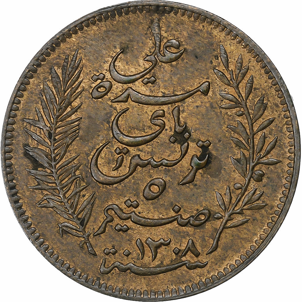 Tunisia, French protectorate, 5 Centimes, 1891, Paris, Bronzo, BB+, KM:221