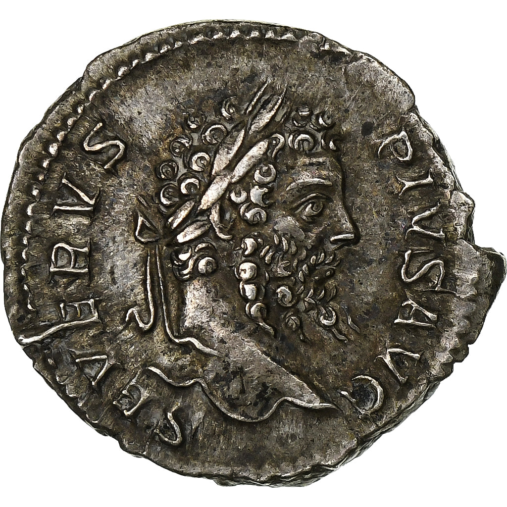 Septimius Severus, Denarius, 206, Rome, Silver, AU(55-58), RIC:201
