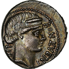 Scribonia, Denarius, 62 BC, Rome, Silver, AU(55-58), RIC:416/1b