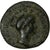 Julia Titi, Dupondius, 80-81, Rome, Bronze, TB, RIC:398