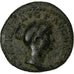 Julia Titi, Dupondius, 80-81, Rome, Bronze, VF(20-25), RIC:398